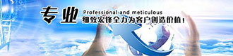東莞市馳豐電子有限公司